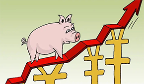 牧原、溫氏、新希望…業(yè)績(jī)大漲，扭虧為盈，豬企龍頭集體走出“至暗時(shí)刻”？